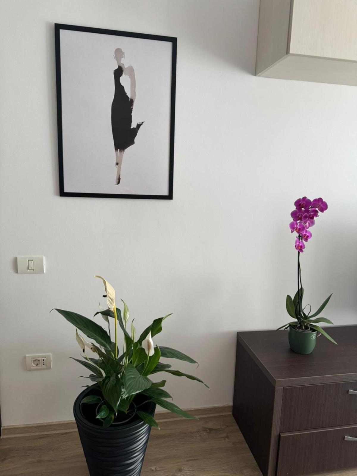 Apart Mihai Viteazu Residence Braşov Extérieur photo